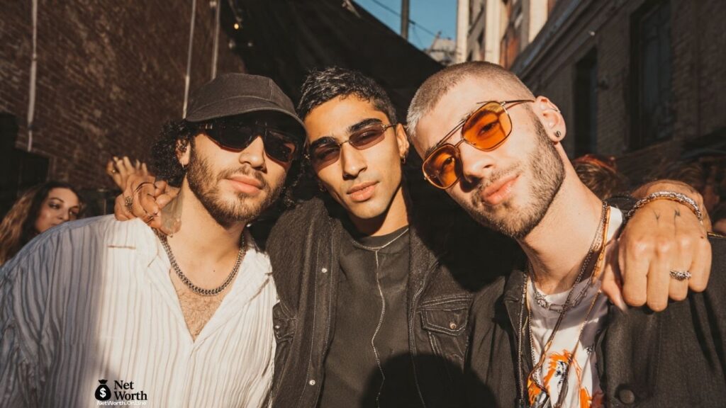 Zayn Malik net worth