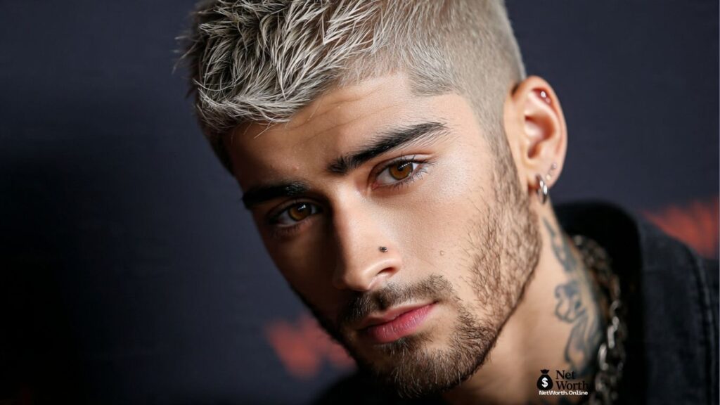 Zayn Malik net worth